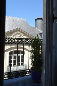 a plant in a pot in front of a house at Le Quatre in Rennes