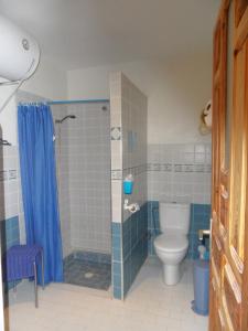 een badkamer met een toilet en een douche bij Gite Tigmi Azrur in Tabant