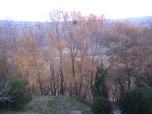 Príroda v okolí apartmánu