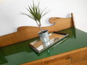 a plant in a pot on top of a table at Naturalmente abitare in Catania +29 photos