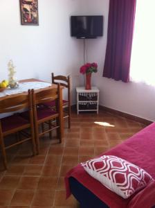 TV a/nebo společenská místnost v ubytování Nada Apartment