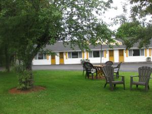 eine Gruppe von Stühlen, die um einen Tisch unter einem Baum sitzen in der Unterkunft Picket Fence Motel in Saint Andrews