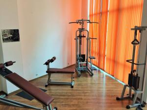 Fitness centrum a/nebo fitness zařízení v ubytování Hotel Primorsko Del Sol
