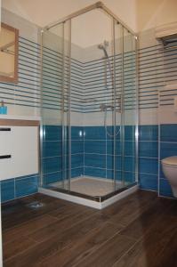 ein Bad mit einer Dusche und einem WC in der Unterkunft Gorgonia Suites in Verunic in Verunić