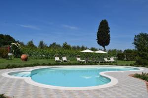 The swimming pool at or close to Borgo San Giusto
