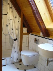 クレーグリンゲンにあるFerienwohnungen Taubenschlagのバスルーム(トイレ、洗面台付)