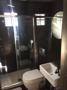 een badkamer met een toilet, een douche en een wastafel bij Milka Studios in Barbati