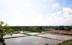 Landskap semula jadi dekat dengan homestay