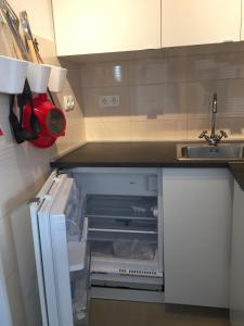 Kuchyň nebo kuchyňský kout v ubytování Apartments Ema