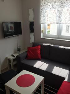 TV a/nebo společenská místnost v ubytování Apartments Ema