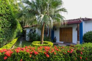 Villa Botero By Casa Mojito外面的花园