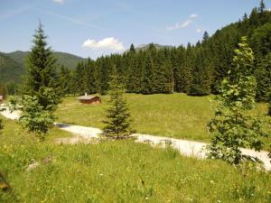 Naturlandschaft in der Nähe des Ferienhauses