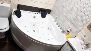 a bathroom with a bath tub and a toilet at Lovac Motel & Restaurant in Donji Žabar