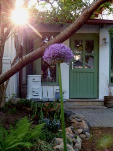 una casa con una puerta verde y flores púrpuras en Feine Laube, en Berlín