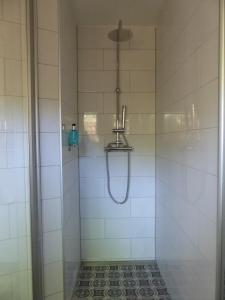 a shower with a glass door with a shower head at Feine Laube in Berlin