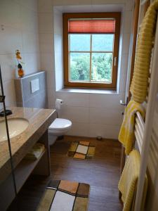 a bathroom with a toilet and a sink and a window at Ferienhaus Enzi in Weissbriach
