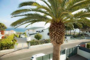 a palm tree on the side of a street at Apartment with Garden and Pool in Estoril