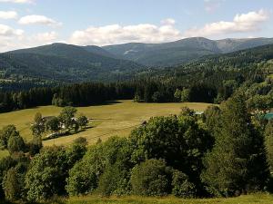 an open field with trees and mountains in the background at Apartmány Kuřátko in Benecko