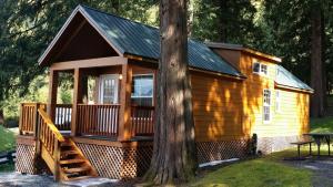 a cabin in the woods with a tree at Camperland Bridal Falls RV Resort & Cabins in Rosedale
