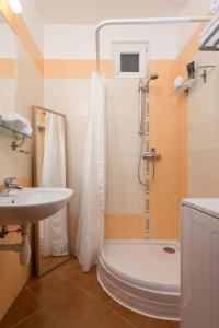 La salle de bains est pourvue d'une douche, de toilettes et d'un lavabo. dans l'établissement Old Town Apartment Pellicova, à Brno