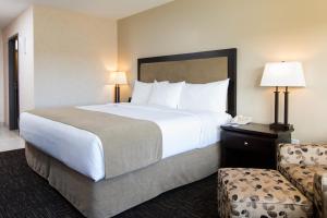Cette chambre comprend un grand lit et une chaise. dans l'établissement Park Town Hotel, à Saskatoon