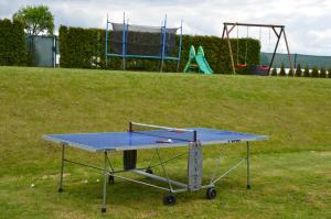 Stolní tenis v ubytování Apartmány Vojta nebo okolí