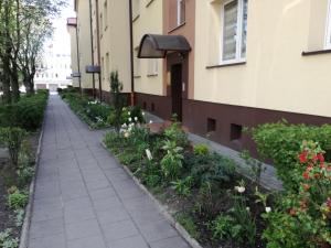 Vonkajšia záhrada v ubytovaní Nordic Apartamenty Suraska