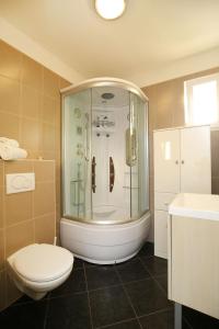 e bagno con doccia, servizi igienici e lavandino. di Apartment Julija a Zara (Zadar)