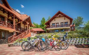 Jízda na kole v ubytování Németh Resort nebo okolí