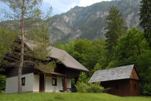 a house in the woods with a mountain in the background at Apartmaji Zupančič in Bohinj