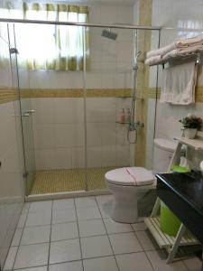 a bathroom with a shower and a toilet at Summer House Hualien Homestay in Yuli