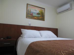 Ein Bett oder Betten in einem Zimmer der Unterkunft Hotel Newen