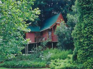 a red cabin with a green roof in the woods at Sycamore Avenue Treehouses & Cottages Accommodation in Windy