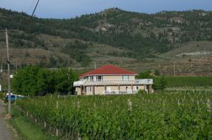 a house with a red roof in a vineyard at Sonora Desert Inn in Osoyoos