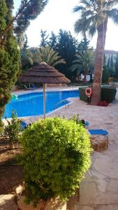 ein großer Pool mit Sonnenschirm und Palmen in der Unterkunft Regina Gardens Lovely Apartment in Paphos City