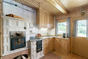 Kuhinja oz. manjša kuhinja v nastanitvi Chalet Zlatica Velika Planina