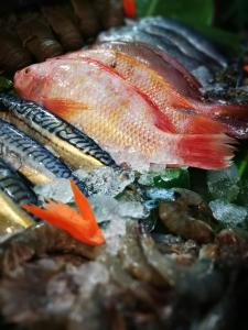 Imagem da galeria de PP Red Tuna Hut em Phi Phi Don