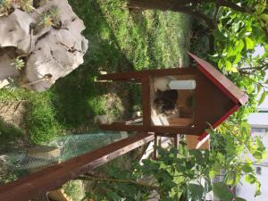 Zahrada ubytování Apartmani Zorica