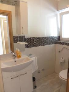 a bathroom with a sink and a toilet at Luka Apartments in Biograd na Moru +34 photos
