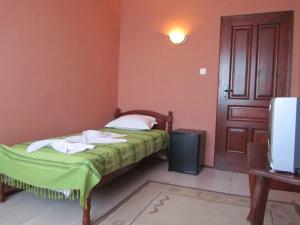 a bedroom with a bed and a door and a television at House Sofia in Sveti Vlas