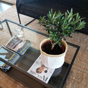 Fotografie z fotogalerie ubytování Alba Hotel v destinaci Marina di Ravenna
