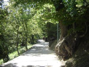 un camino con árboles a su lado en Carriles Romanos, en Odollo