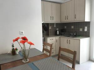 A kitchen or kitchenette at Mirtos Apartments