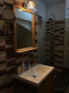 uma casa de banho com um lavatório, um espelho e um chuveiro em Mirtos Apartments em Myrtos