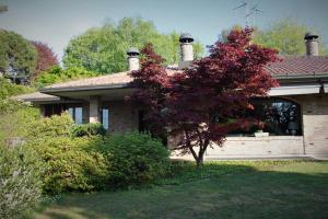 Zahrada ubytování Villa Onorina