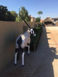 Φωτογραφία από το άλμπουμ του Overflow Guest House σε Γκαμπορόνε