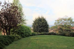 Zahrada ubytování Villa Onorina
