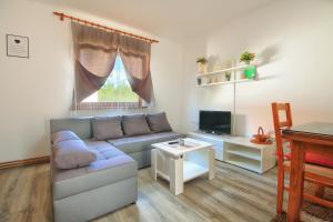 Apartman Katja في غاكوفيتسا: غرفة معيشة مع أريكة وتلفزيون