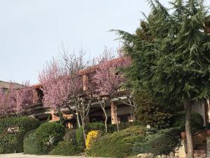 Jardín al aire libre en Hotel Rural El Valle