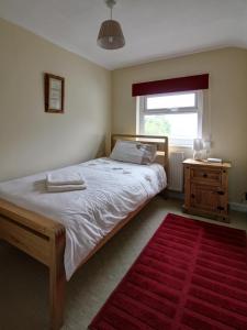 a bedroom with a bed and a window and a red rug at Bryn Ffynnon Holiday Cottage Llanrwst in Llanrwst